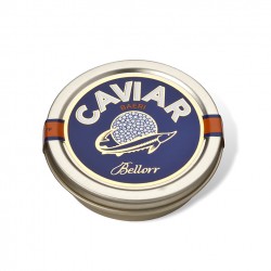 Bellorr Caviar Baerii